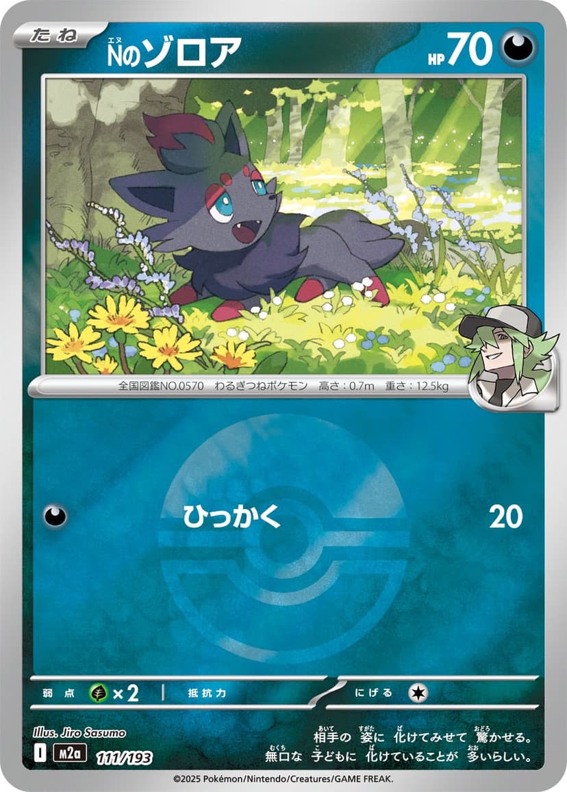 Nのゾロア